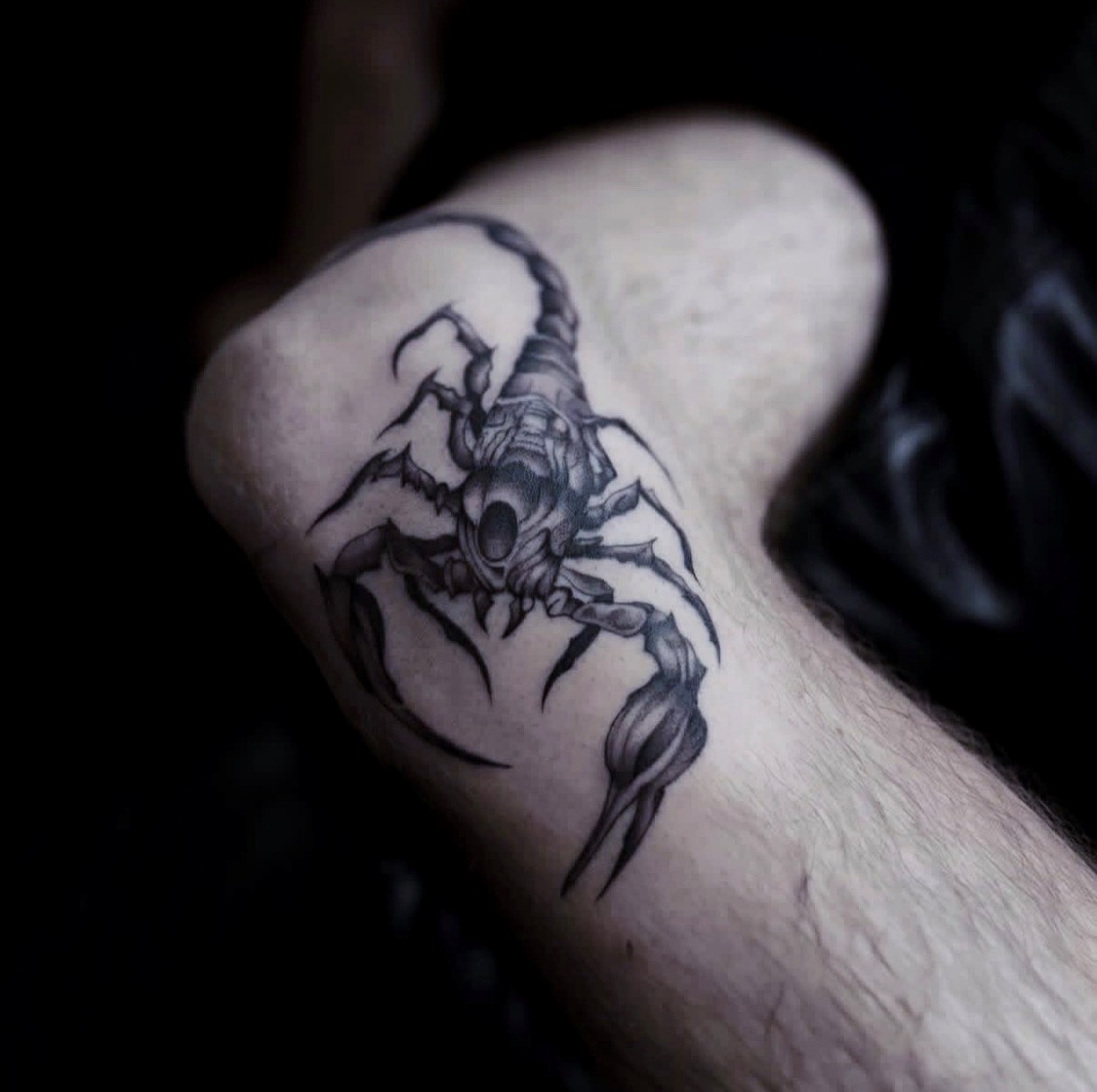 Detailed black and grey scorpion tattoo on the arm